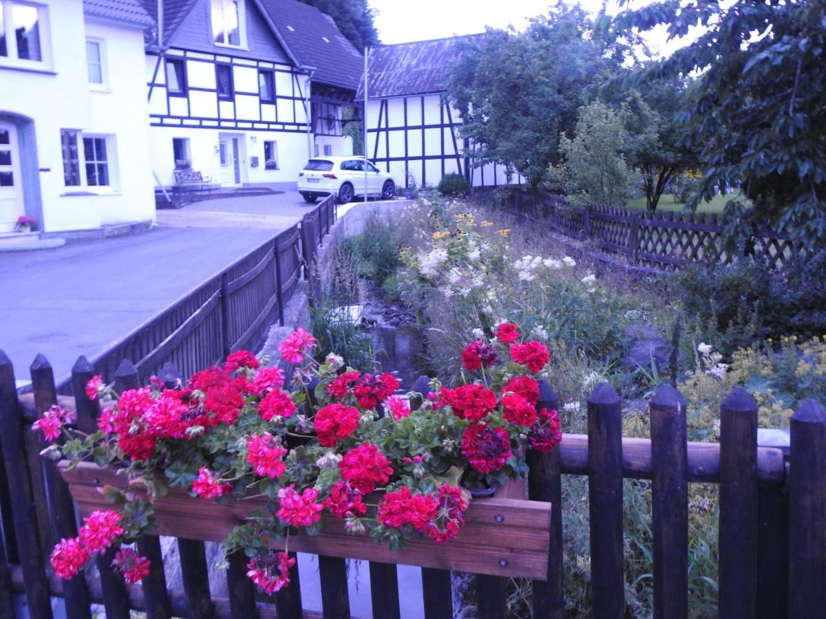 Apartamento Bergblick Medebach Exterior foto